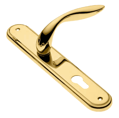 Ручка дверная на планке LEON PL OTL, цвет золото, латунь фото купить в Пензе